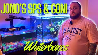 Jono's SPS and Goni Waterboxes