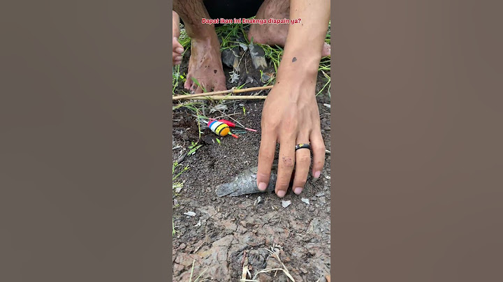 MANCING PAKE UMPAN INI MALAH DAPATNYA KURA-KURA NINJA😅 #49 #shorts