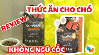 Thức ăn cho chó | Review hạt cho chó NutriWell Grain Free - Tiki Pet Store by Tiki Pet Store 416 views 2 years ago 5 minutes, 9 seconds