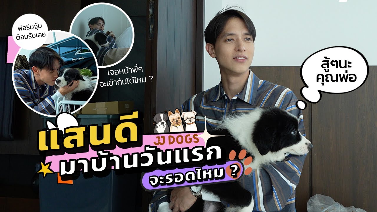 น้องแสนดีมาบ้านวันแรก จะรอดไหม ?? | JJDOGs EP2 #เจมส์จิรายุ