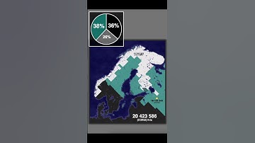 The Longest Game in Territorial.io