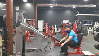 Seated Alternating Cable Row