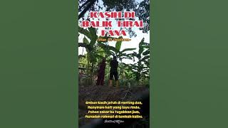 KASIH DI BALIK TIRAI FANA