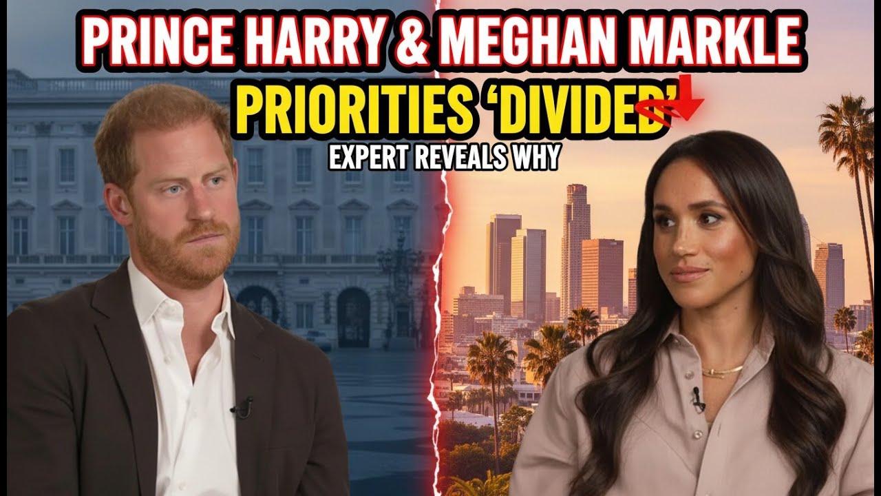 Prince Harry & Meghan Markle Expert Reveals Why Their Priorities Now Look “Divided”