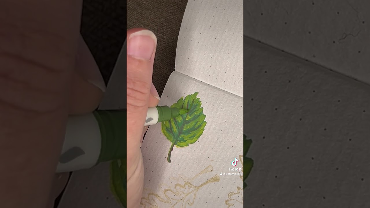 November leaves 🍁 