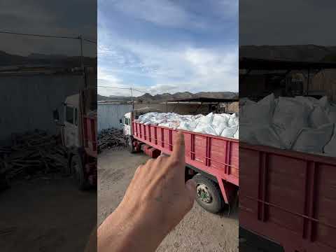 videolamaneta