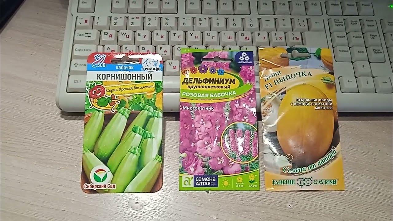 2.2.25г. Цветы сорта ДЕЛЬФИНИУМ!!! Кабачки сорта КОРНИШОННЫЙ!!! Дыня ...