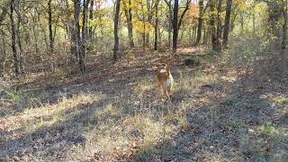 exploring more of Texas by Maria Moberg 42 views 1 year ago 30 seconds