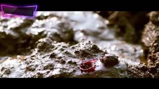 أحلام أغاني حماسيه2020