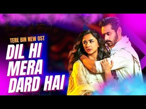 Tere Bin  New Song  Dil Hi Mera Dard Hai    Tere Bin  OST  Pakistani Drama