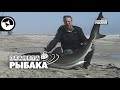 Акула весом в центнер. Рыбалка в Намибии | Планета рыбака