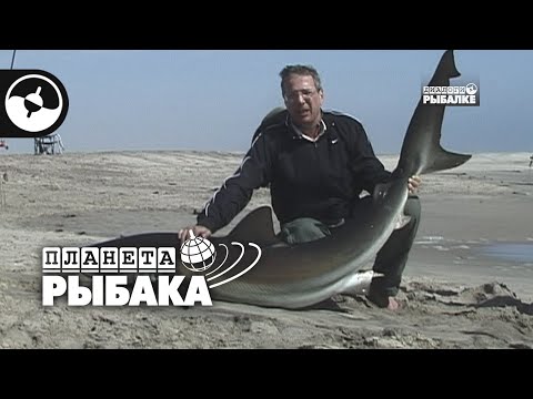 Акула весом в центнер. Рыбалка в Намибии | Планета рыбака