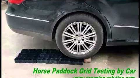 Newest Horse Paddock Grids Testing by Car