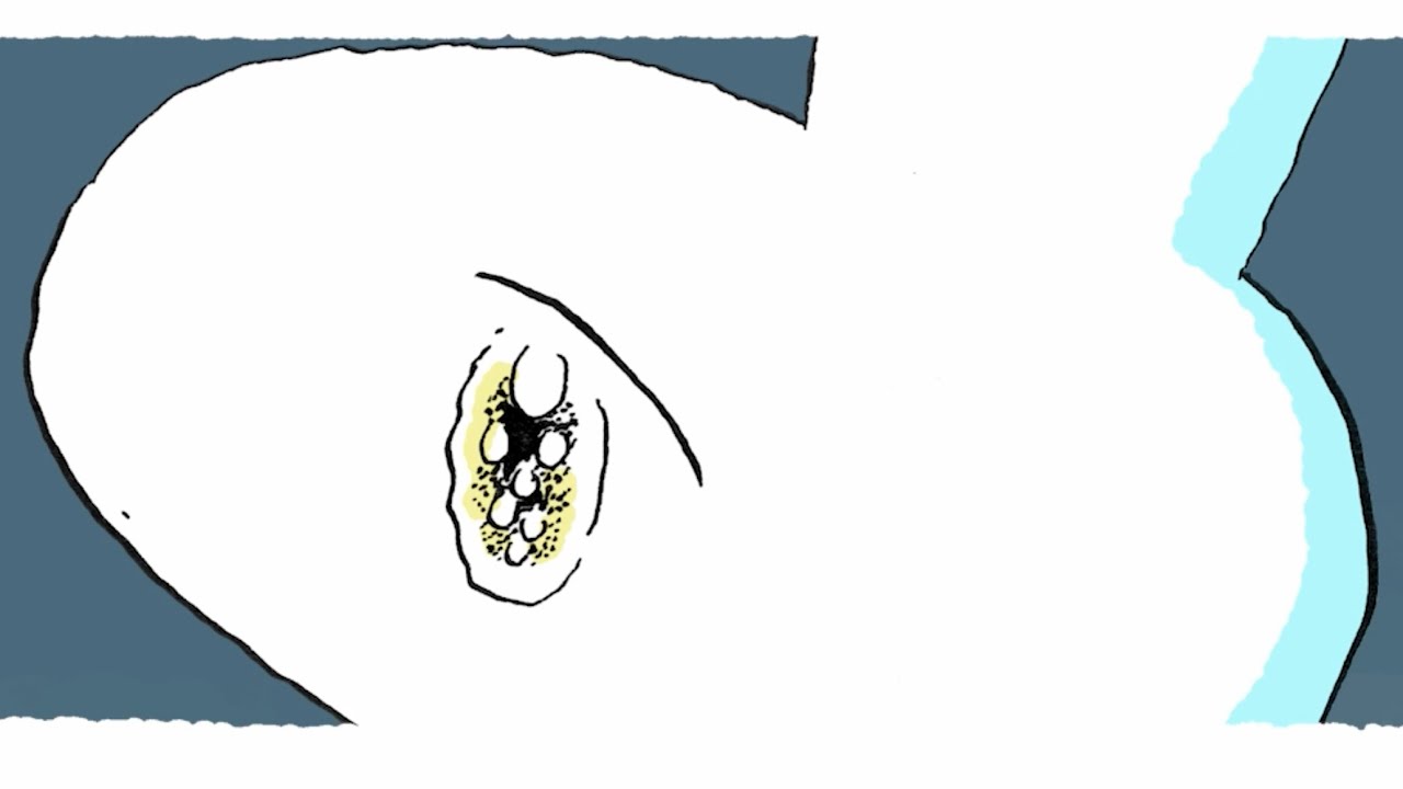 Kanata (feat.日和) [VocaDuo2024]