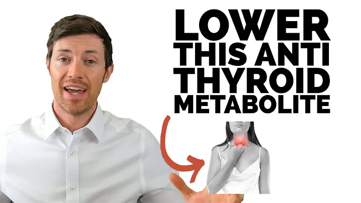 Reverse T3 Treatment Guide + How to “Flush” it out of Your Body