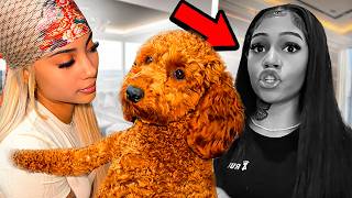 EXPOSING Everything (The Truth) Aspen LIED 