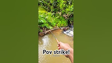 Microfishing uceng #shorts #strikepertama #microfishing #videomancing #pov