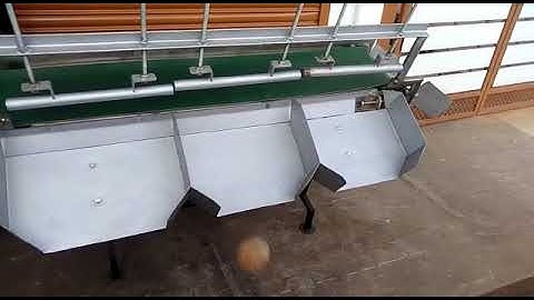 Coconut Size grader Machine