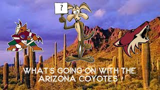 Arizona Coyotes What's Going on