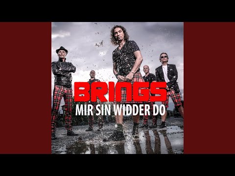 Video Mir Sin Widder Do