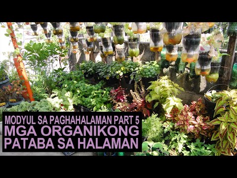 Video: Ano ang pinakamahusay na pataba para sa paghahalaman?