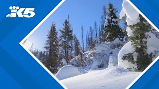 Ski forecast, mountain snow update | KING 5 Weather