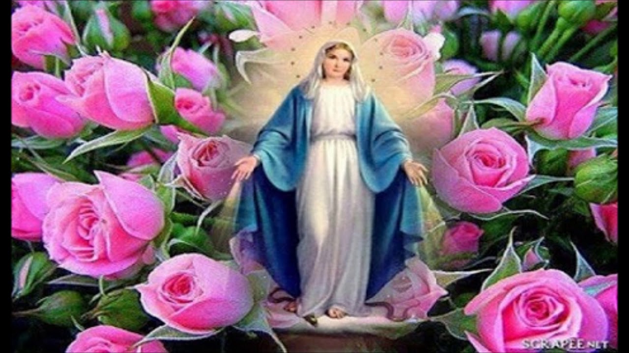 Terço de Nossa Senhora das Graças e da Medalha milagrosa