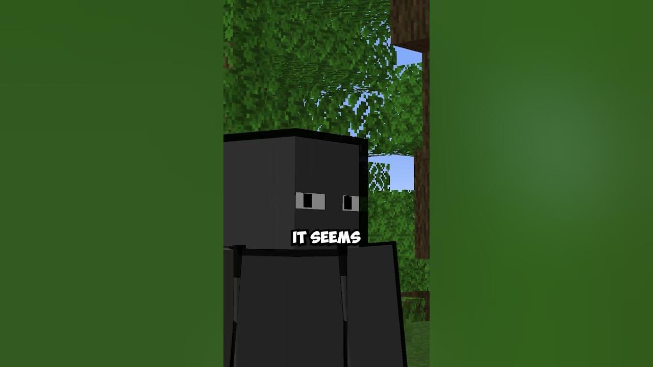 This Minecraft Skin Illusion Always Stares At You