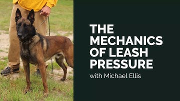 Learning Leash Pressure - Michael Ellis