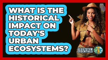 What Is The Historical Impact On Today