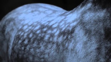 Trentemøller: Deceive (official video)