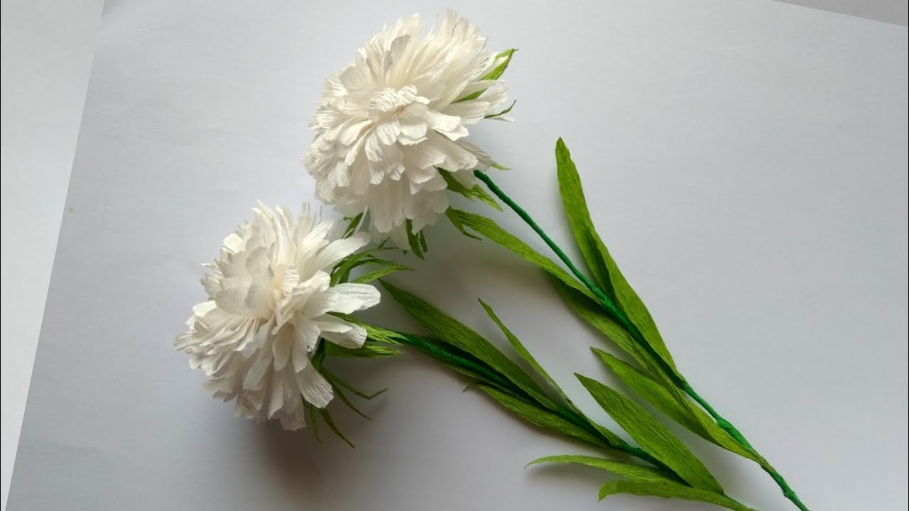 White Flowers