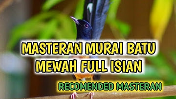 MASTERAN MURAI BATU FULL ISIAN TEMBAKAN MEWAH DURASI PANJANG