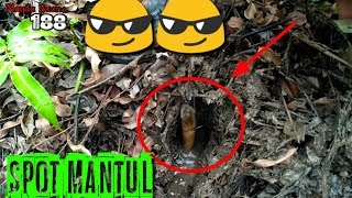 Mancing Belut Di spot Baru Hasilnya Mantul👍👍