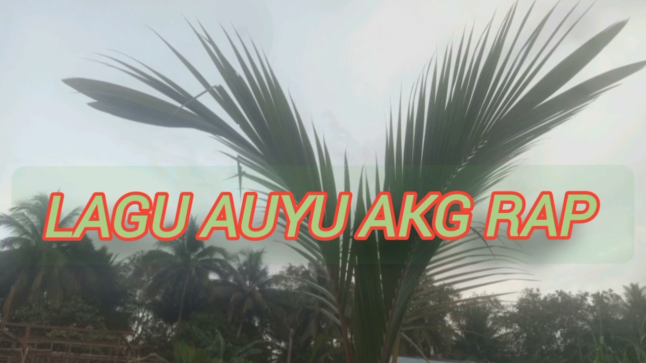 Lagu Auyu _Getio Bussu _AKG Rap_Voc. Kimmix 🙏🌴