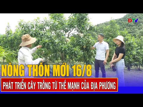 Phát triển cây trồng từ thế mạnh của địa phương