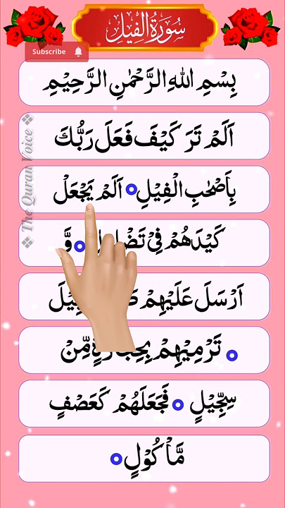 SURAH AL-FIL | (سورۃ الفیل) #surahfil #egzonibrahimi #quranshorts #shorts