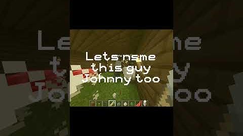 What Happens When You Name A Vindicator "Johnny"?... #minecraft #shorts