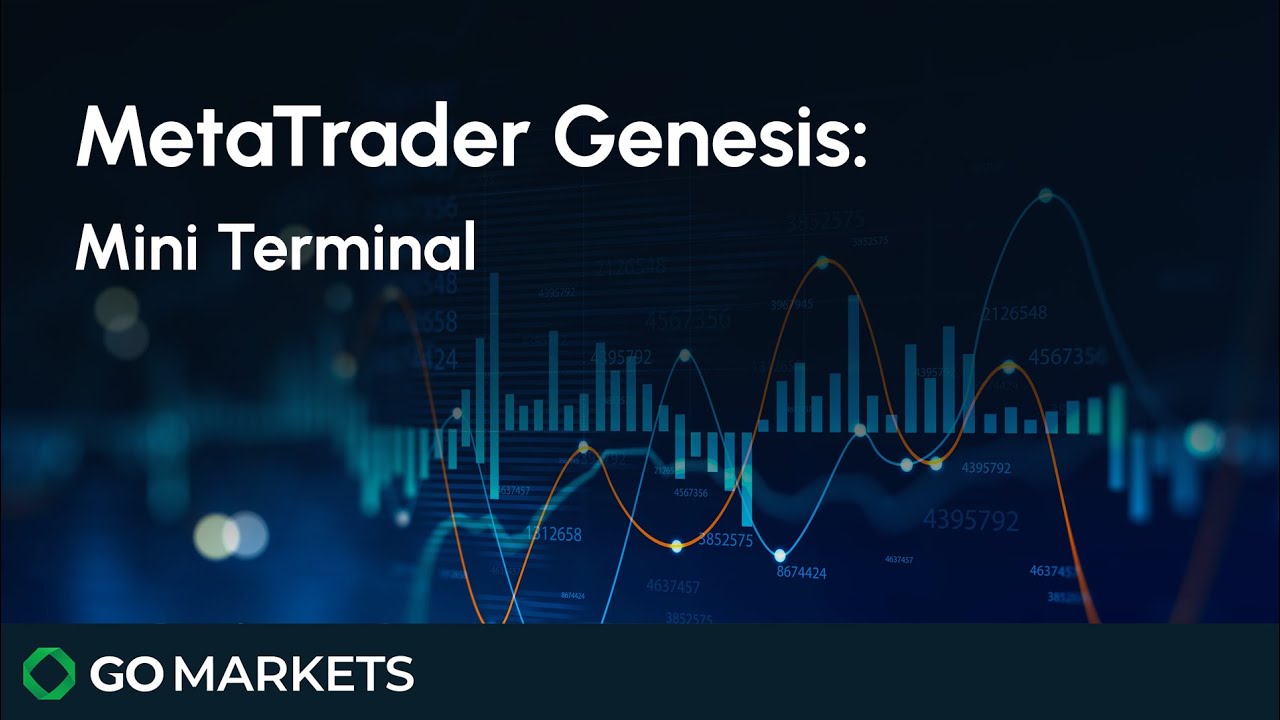 MetaTrader 4 Download — LiteForex