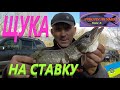 За щукою на ставок #РибачуЯкУмію