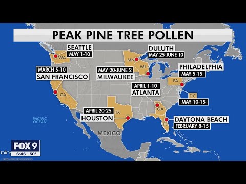 Pollen Count Minneapolis