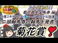 強運ニートの競馬日記、＃菊花賞先出馬券動画