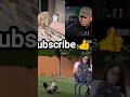 #funny #video #comedy #cat