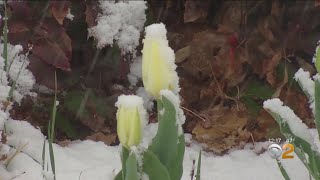 Midwest Hit By Massive Spring Snowstorm