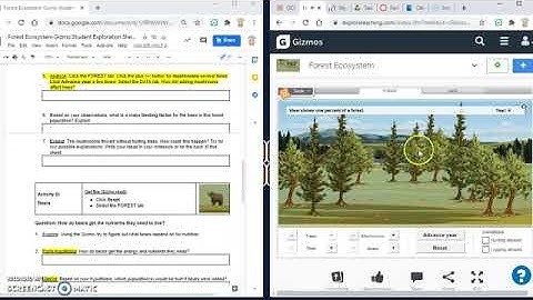Forest Ecosystem Gizmo Tutorial
