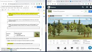 Forest Ecosystem Gizmo Tutorial