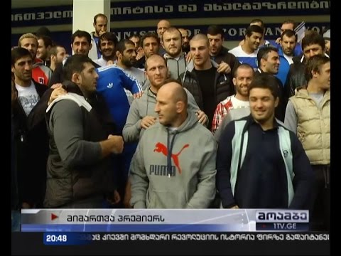 მოჭიდავეები პრემიერს მიმართავენ - პოზიცია უცვლელია, კურტანიძე უნდა გადადგეს