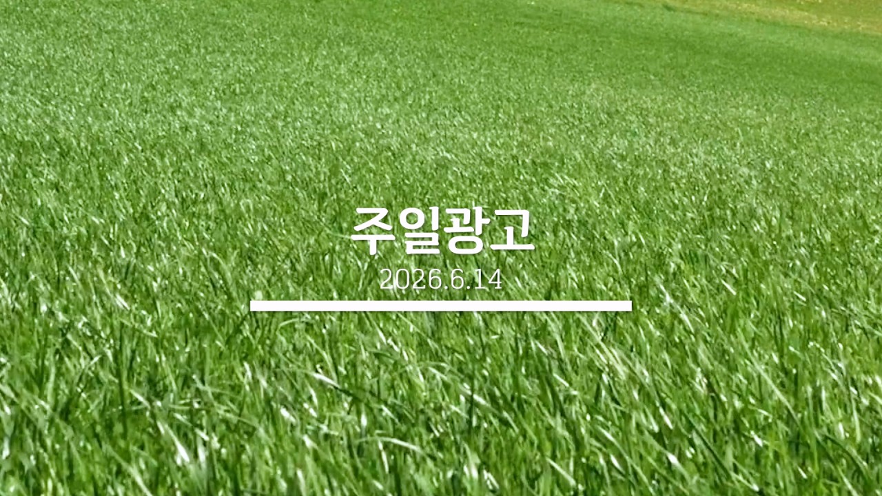 20260614 교회소식