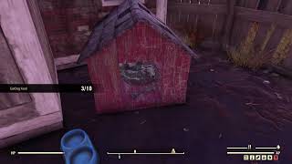 Eat Dog Food | Fallout 76 Challenges