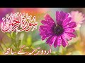 SURAH RAHMAN TARJUMA KE SATH | Epi 364 | Soothing Quran Recitation With Urdu Translation Full